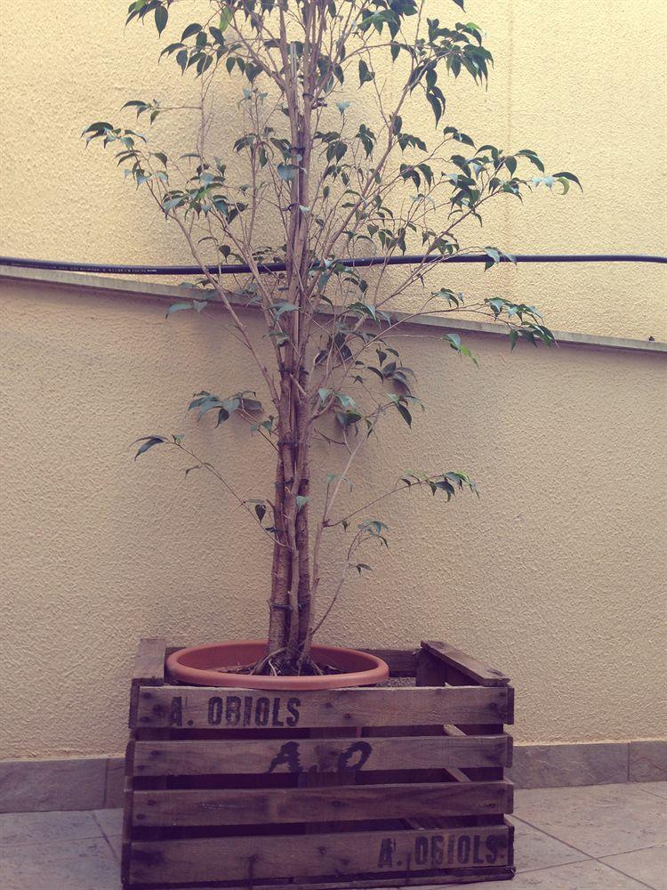 Don Moustache Boutique Hostel Barselona Dış mekan fotoğraf